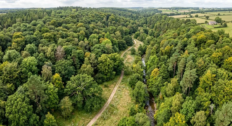 Aerial view of lush green British woodland and countryside protected by lower transport emissions
